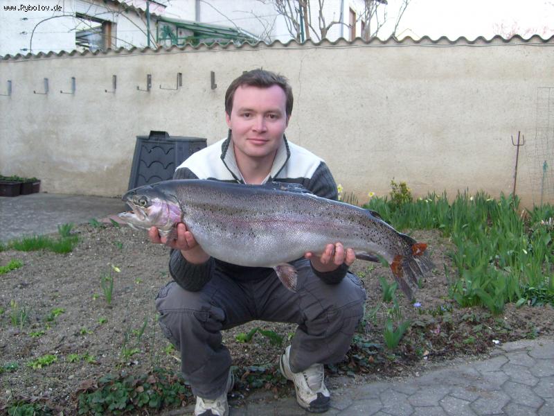 --����� 6 �������� �������. - ������� (����������)