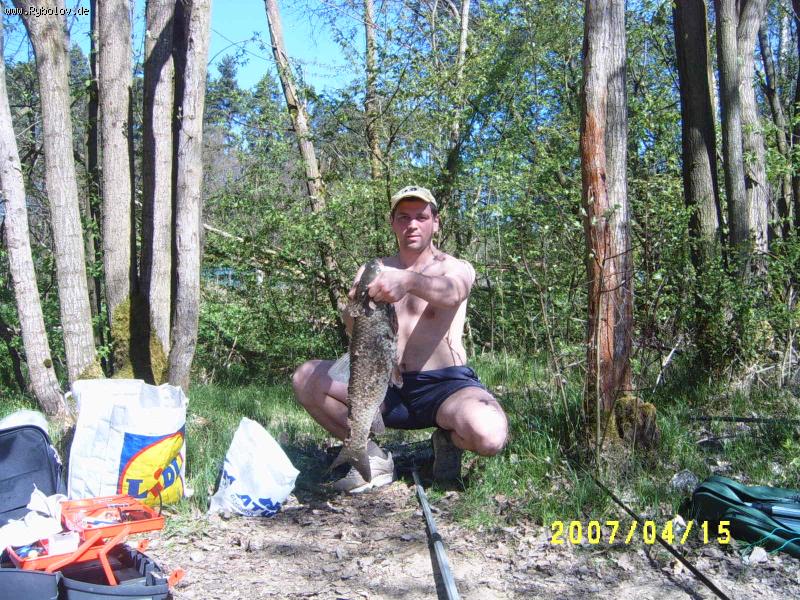 --����� �������� ��� - ������� (����������)