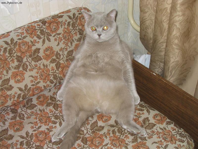 --��� ������� � �������! - ������� (����������)