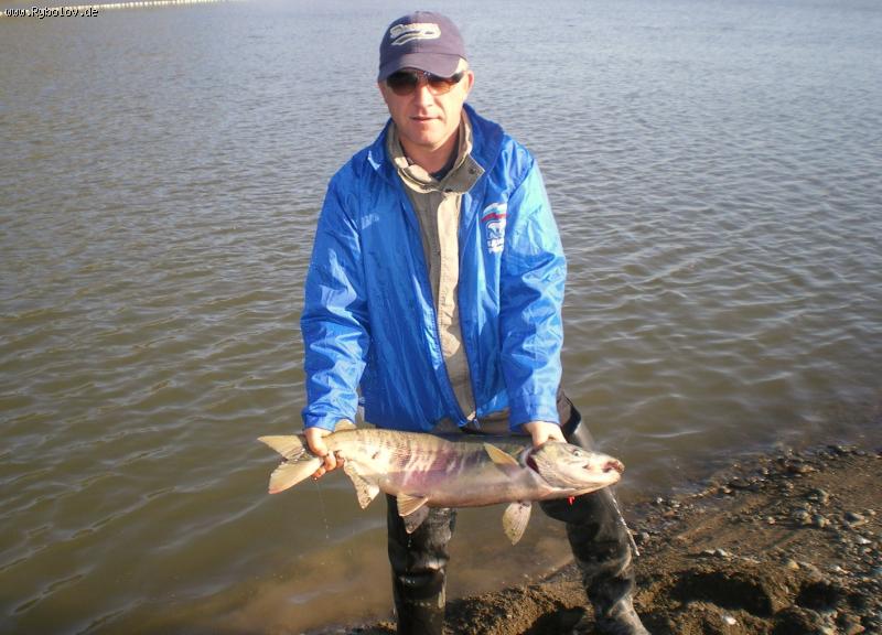 --�������.��������2009 - ������� (����������)