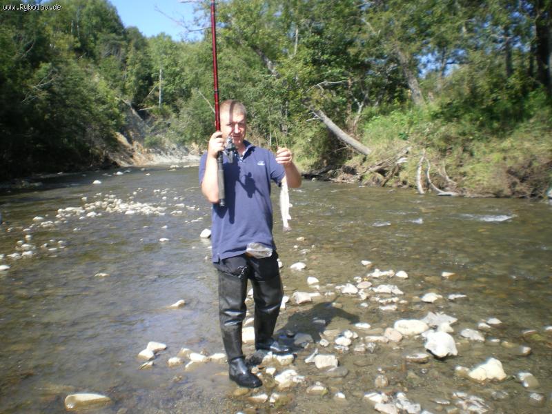 --�������.��������2009 - ������� (����������)