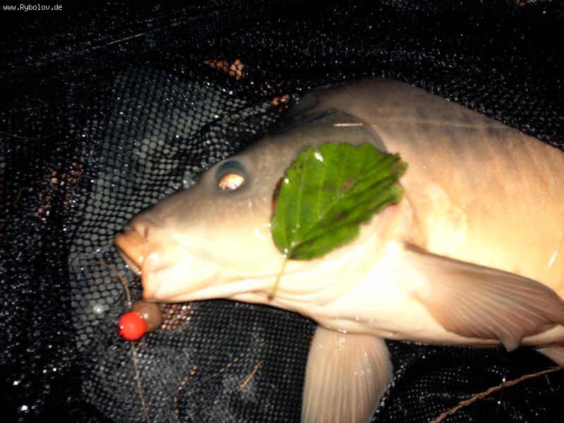 --������ � ������ - ������� (����������)