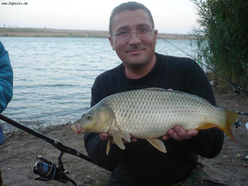 --����� ����� �� �������. - ������� (����������)