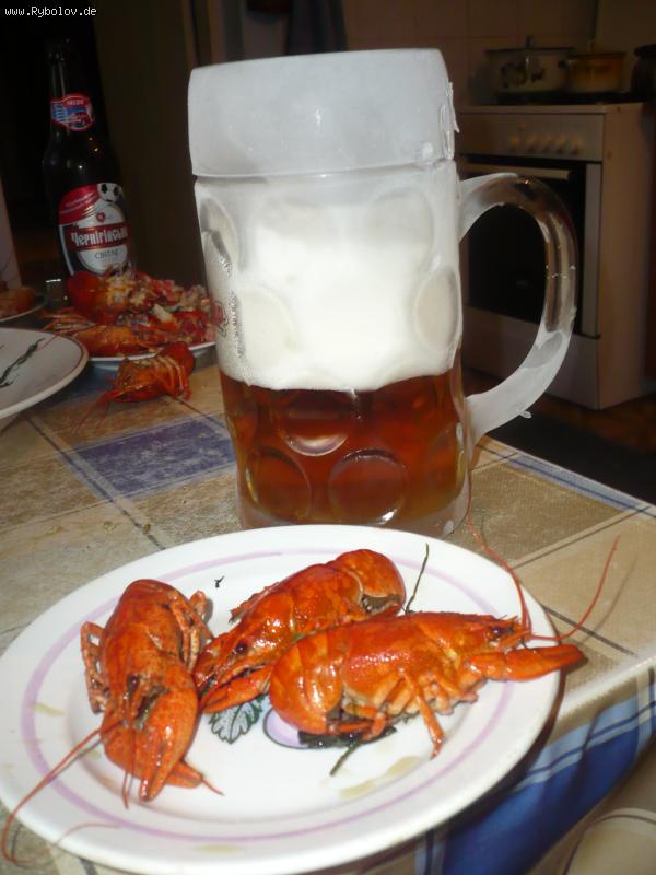 --������ �� ������� 2009 - ���� - ������� (����������)