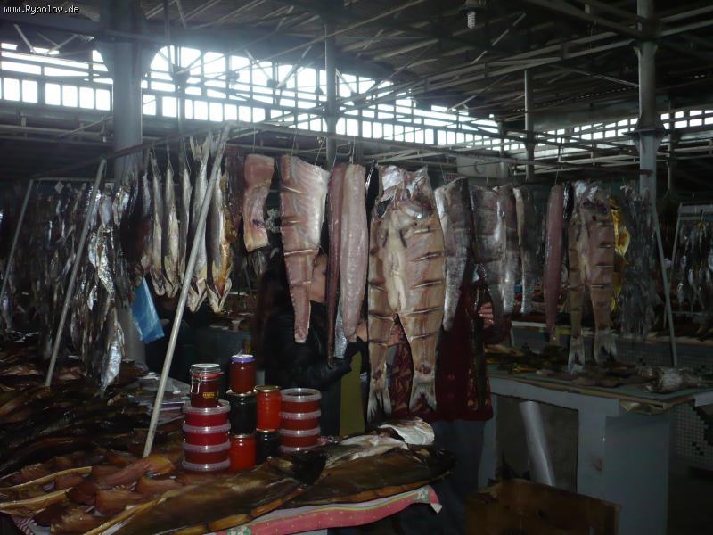 --�� ������ � ����. - ������� (����������)