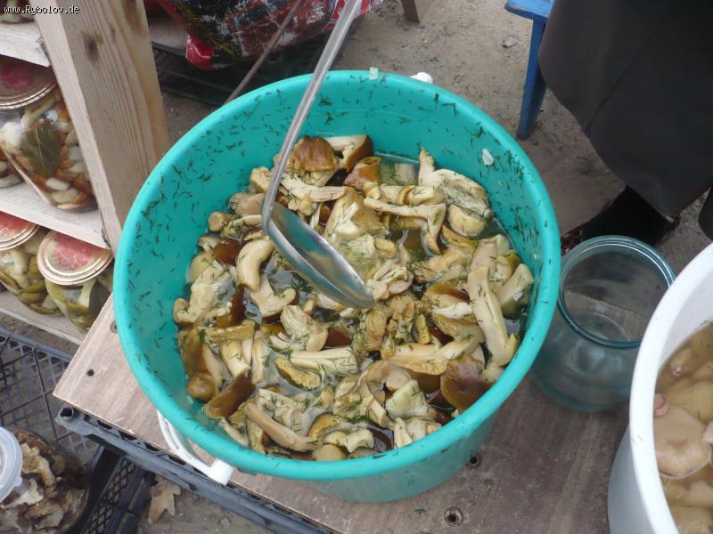 --�� ���� � ���� - ������� (����������)