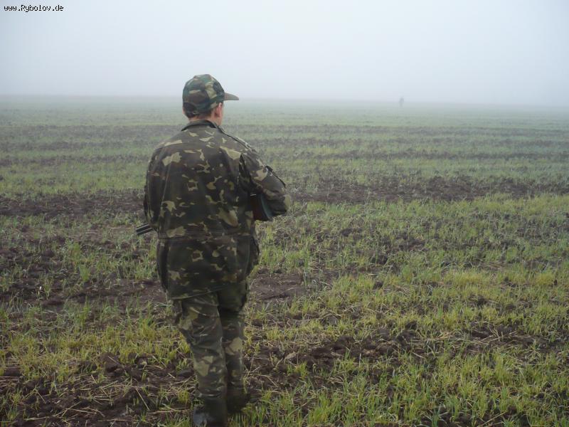 --������� ������� - ������� (����������)