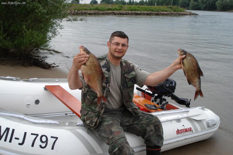 --����������� ��������� - ������� (����������)