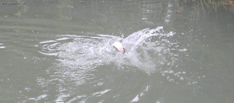 --������ - ������� (����������)