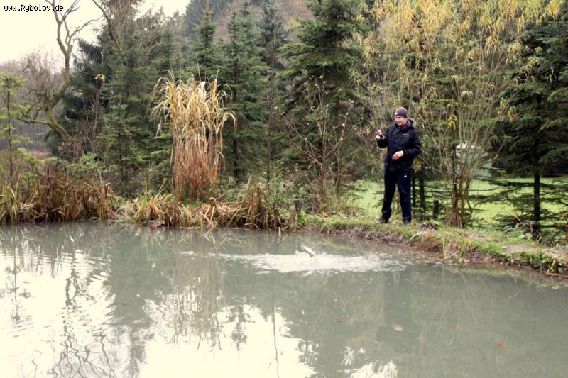 --������ - ������� (����������)