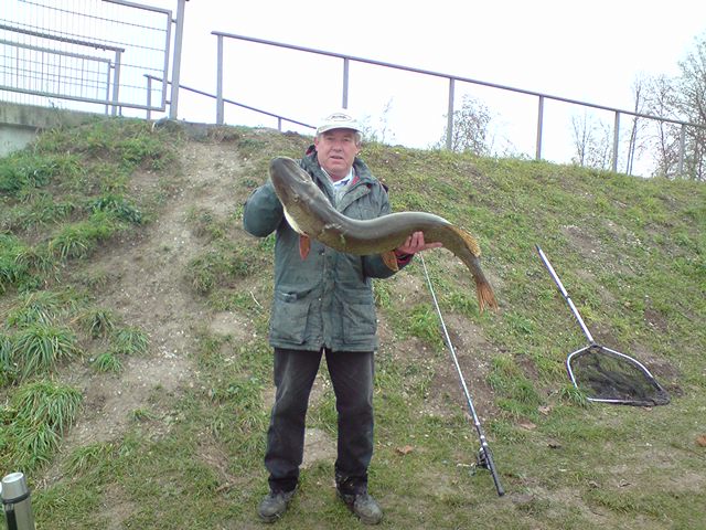 --�������-�� �����������..... - ������� (����������)