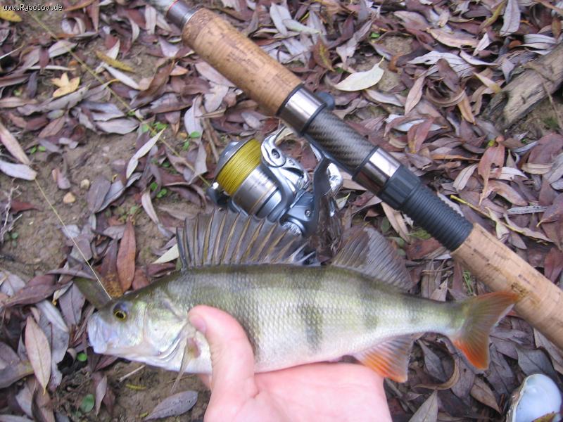 --����� - ������� (����������)