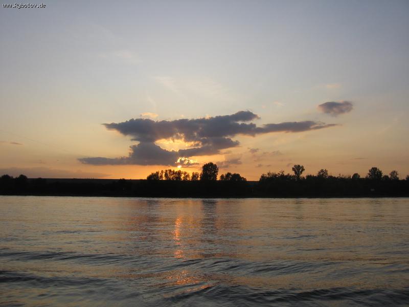 --IMG_4139.JPG - ������� (����������)