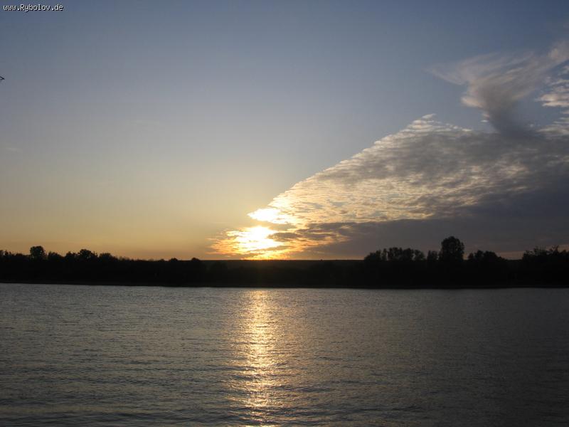 --IMG_4328.JPG -  ()