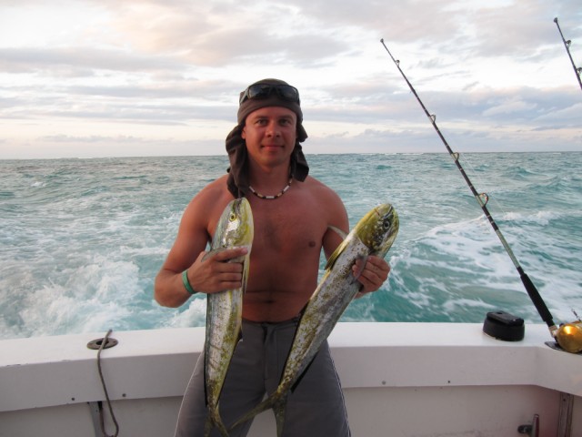 --Dorade - ������� (����������)