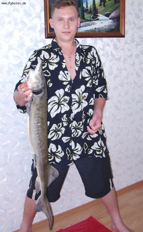 --����� ������ ���� (��� ����)!!! - ������� (����������)