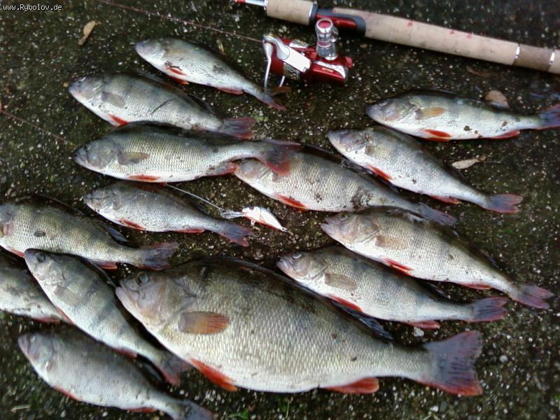 --����� � ����! - ������� (����������)