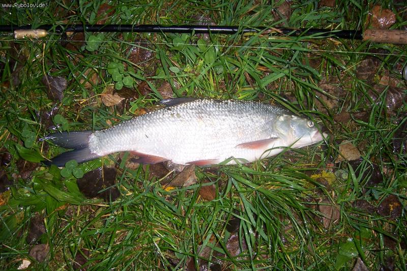 --������� - ������� (����������)