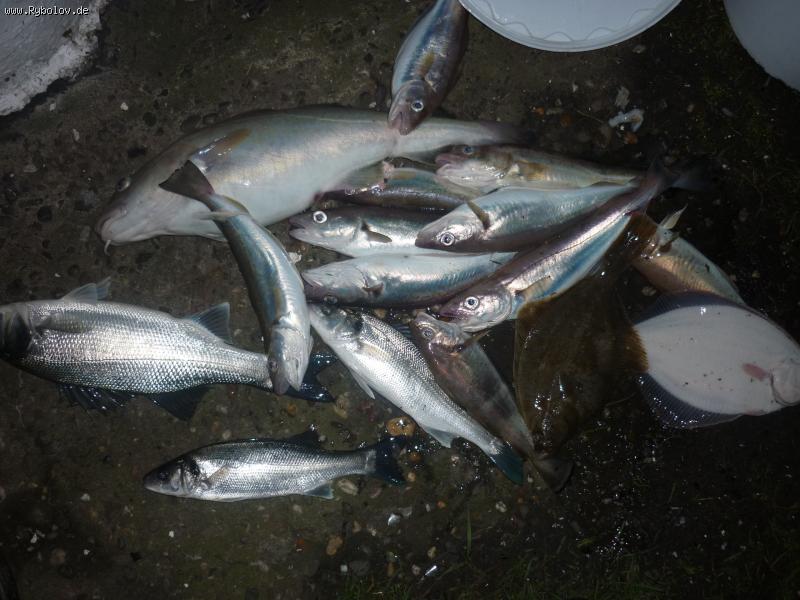 --�������� ����. - ������� (����������)