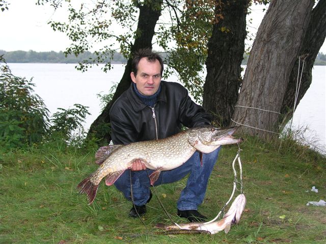 --�������� �� ������(�������) � ������� - ������� (����������)