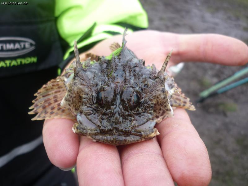 --    ?    "". -  ()