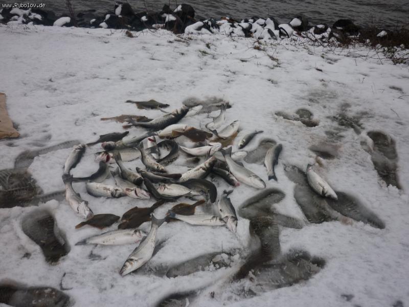 --24.12. - 25.15 - ������� (����������)