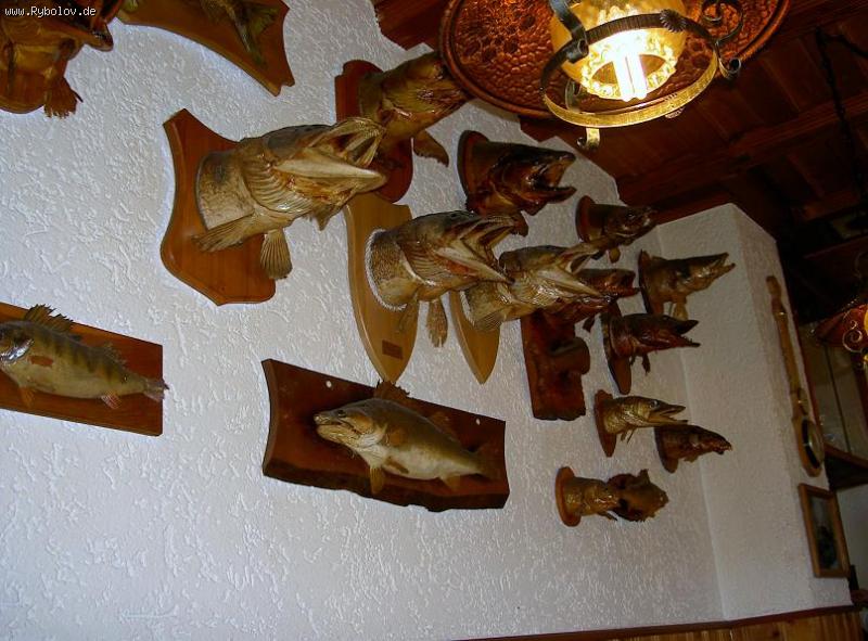 --�������� ������ - ������� (����������)