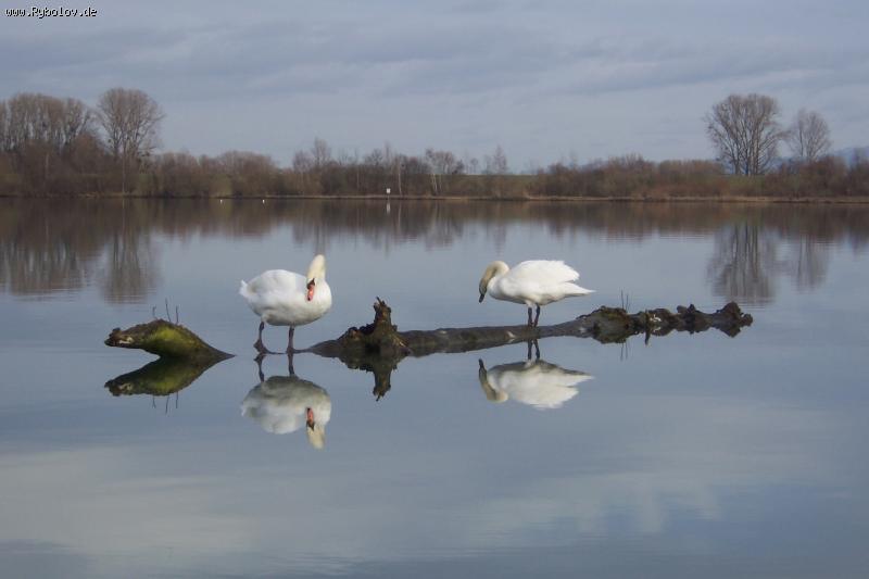 --������ - ������� (����������)