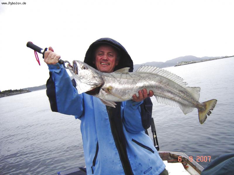 --�������� 2007� - ������� (����������)