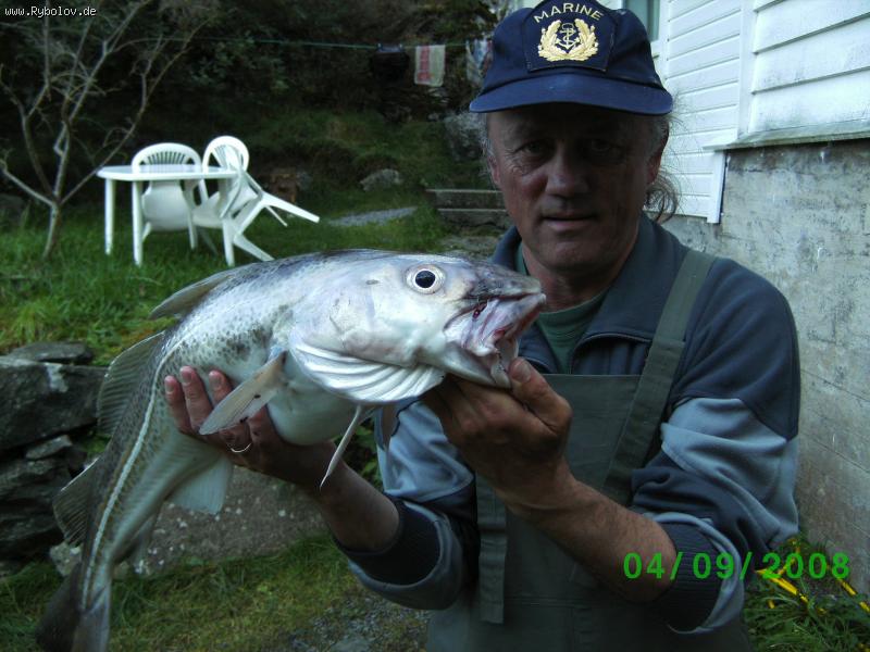 --2008�.�������� - ������� (����������)