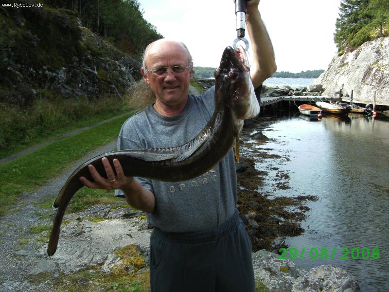 --2008�.�������� - ������� (����������)