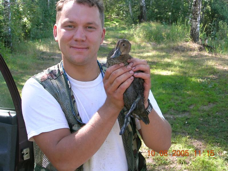 --�������� �������! - ������� (����������)