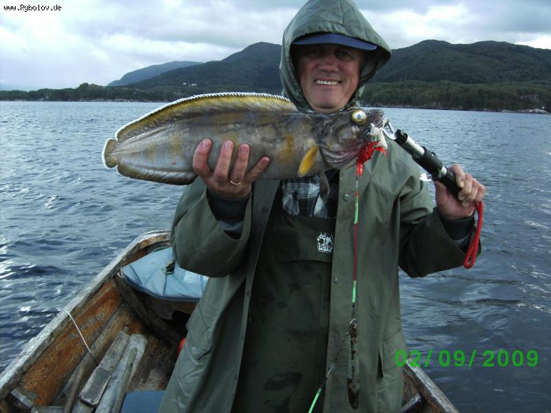 --2008�.�������� - ������� (����������)