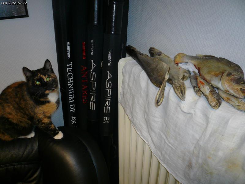 --������ ������� ���� � �����.... - ������� (����������)