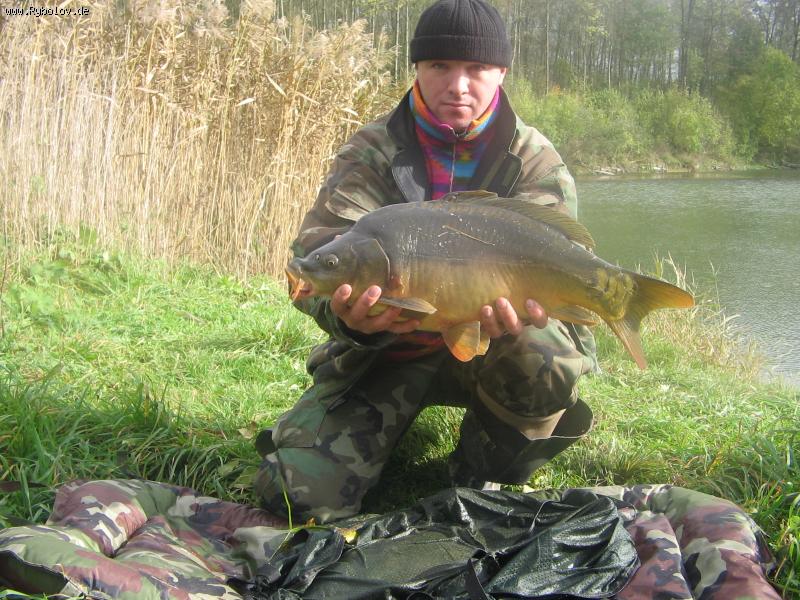 --���������� ������ ���� �� 5.600 �� - ������� (����������)