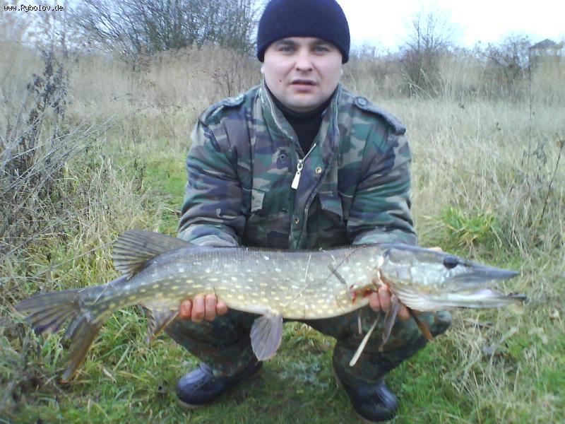 --���� 3,5�� - ������� (����������)