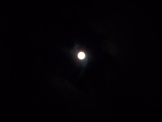 --����. - ������� (����������)