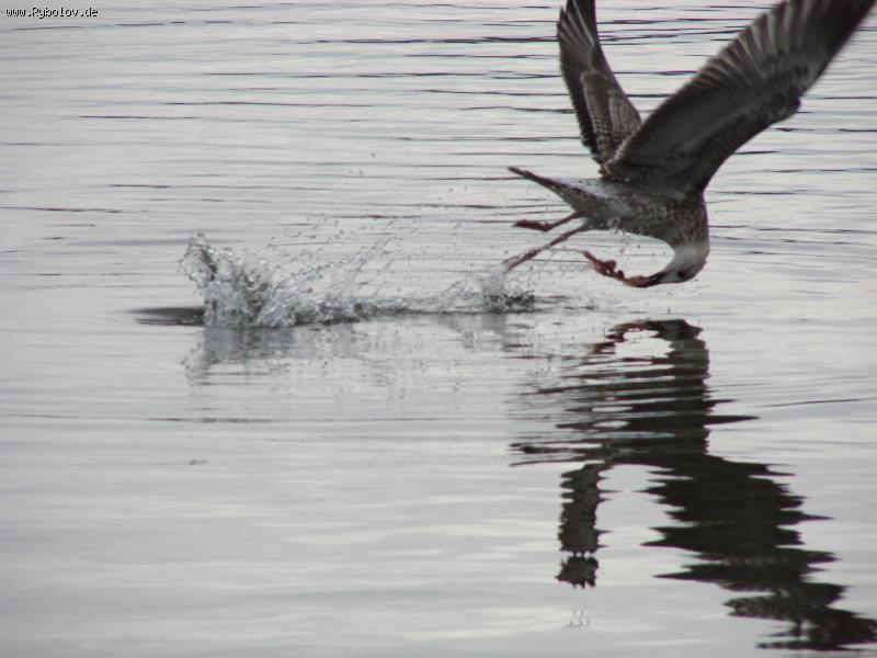 --� ����� ��������� � ������ ���������! - ������� (����������)