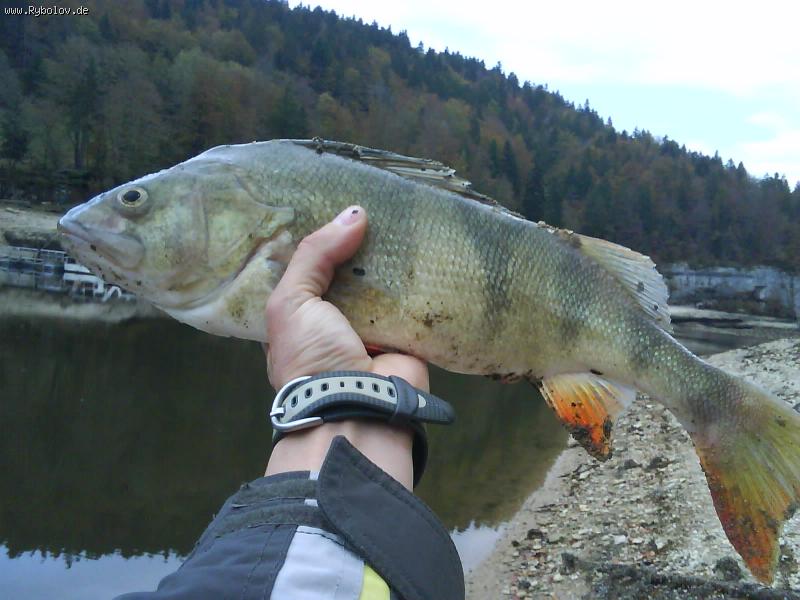 --������ � ������� - ������� (����������)