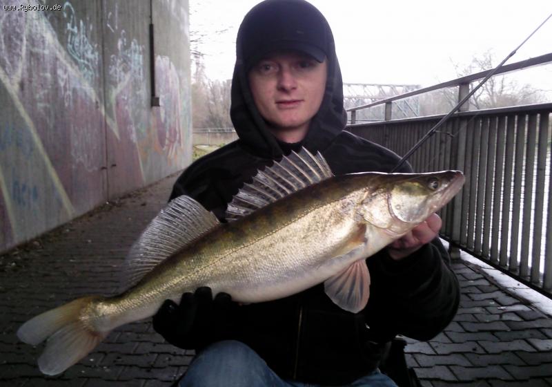 --Rhein-Herne-Kanal.   19.01.2010. 13:30 Uhr - ������� (����������)
