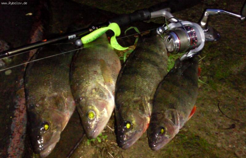 --27.12.09 - ������� (����������)