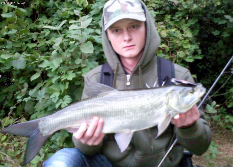 --2009 - ������� (����������)