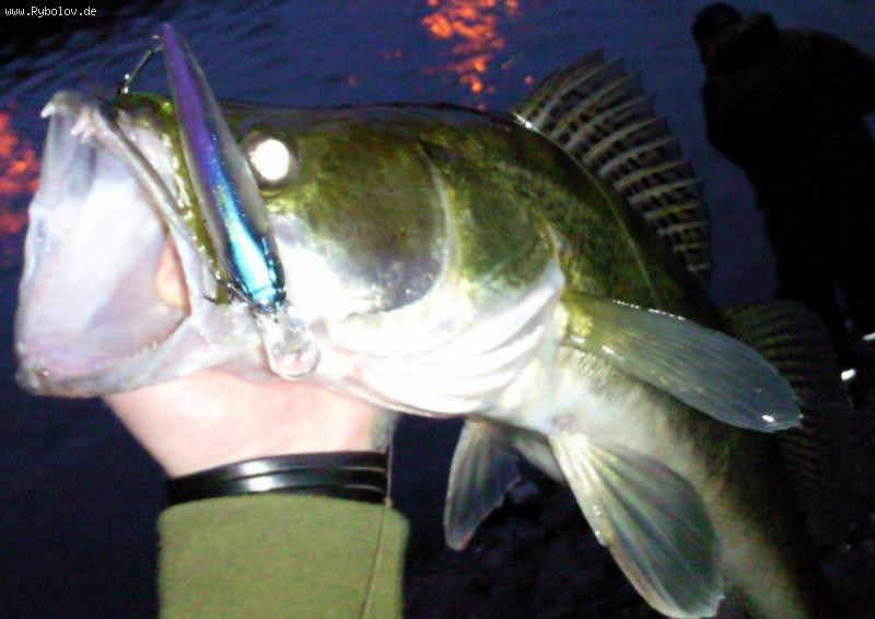 --2009 - ������� (����������)