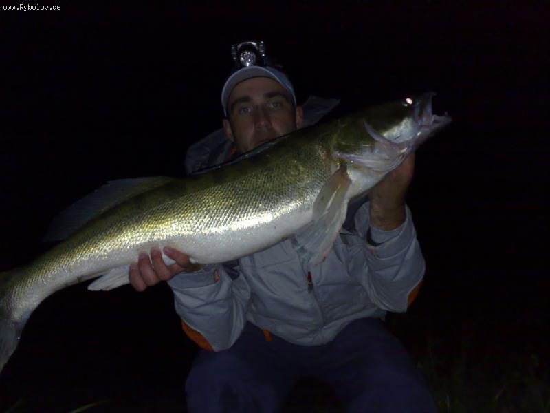 --2009 - ������� (����������)