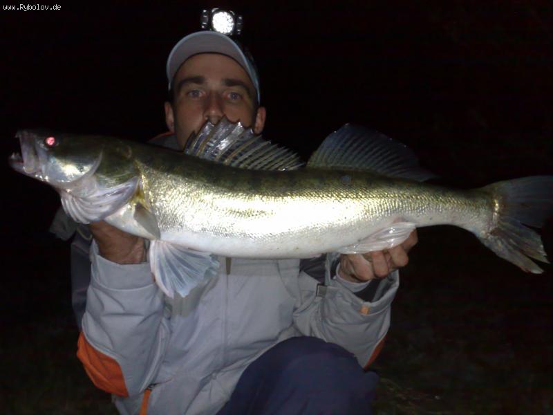 --2009 - ������� (����������)