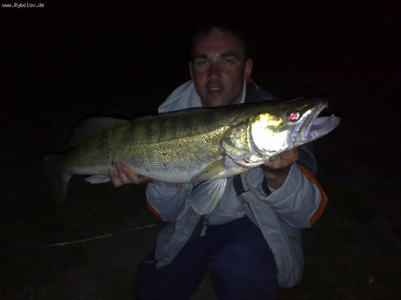 --2009 - ������� (����������)