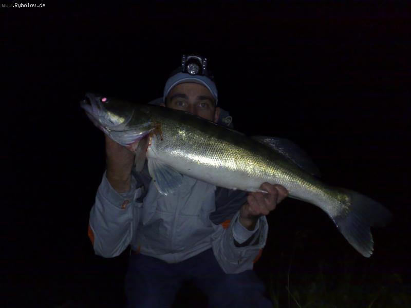 --2009 - ������� (����������)