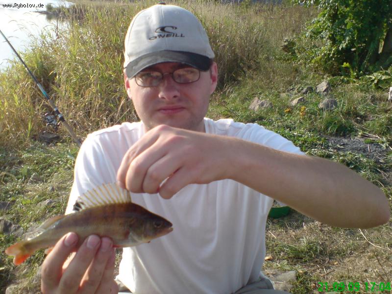 --2009 - ������� (����������)