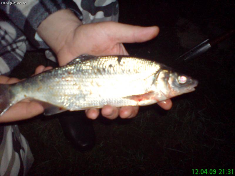 --2009 - ������� (����������)