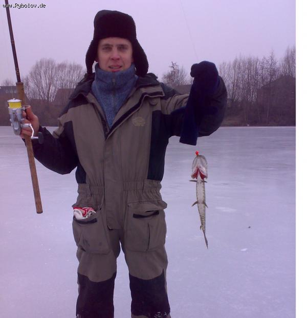 --2010 - ������� (����������)